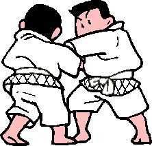 judo vitt.jpg
